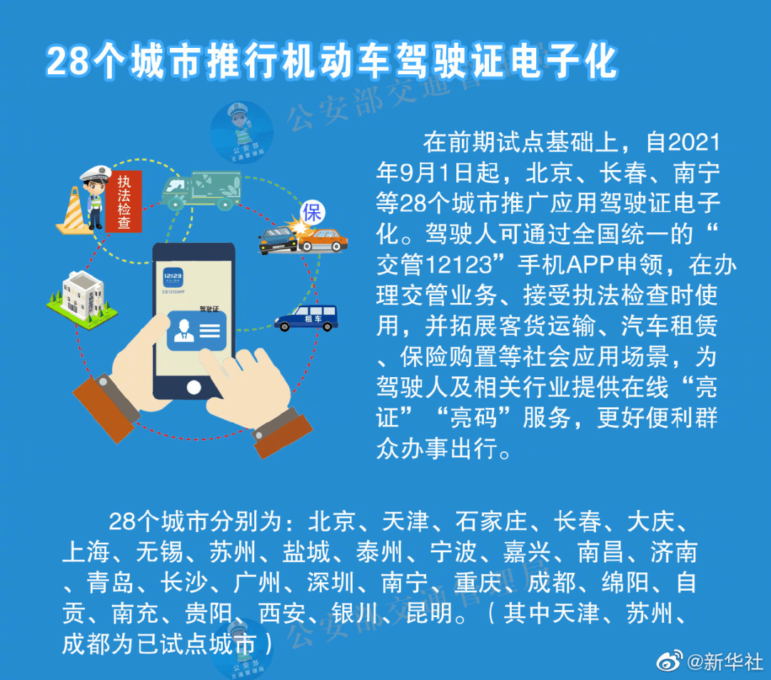 626969澳彩资料解析与落实策略，迈向成功的指引（精选解析）